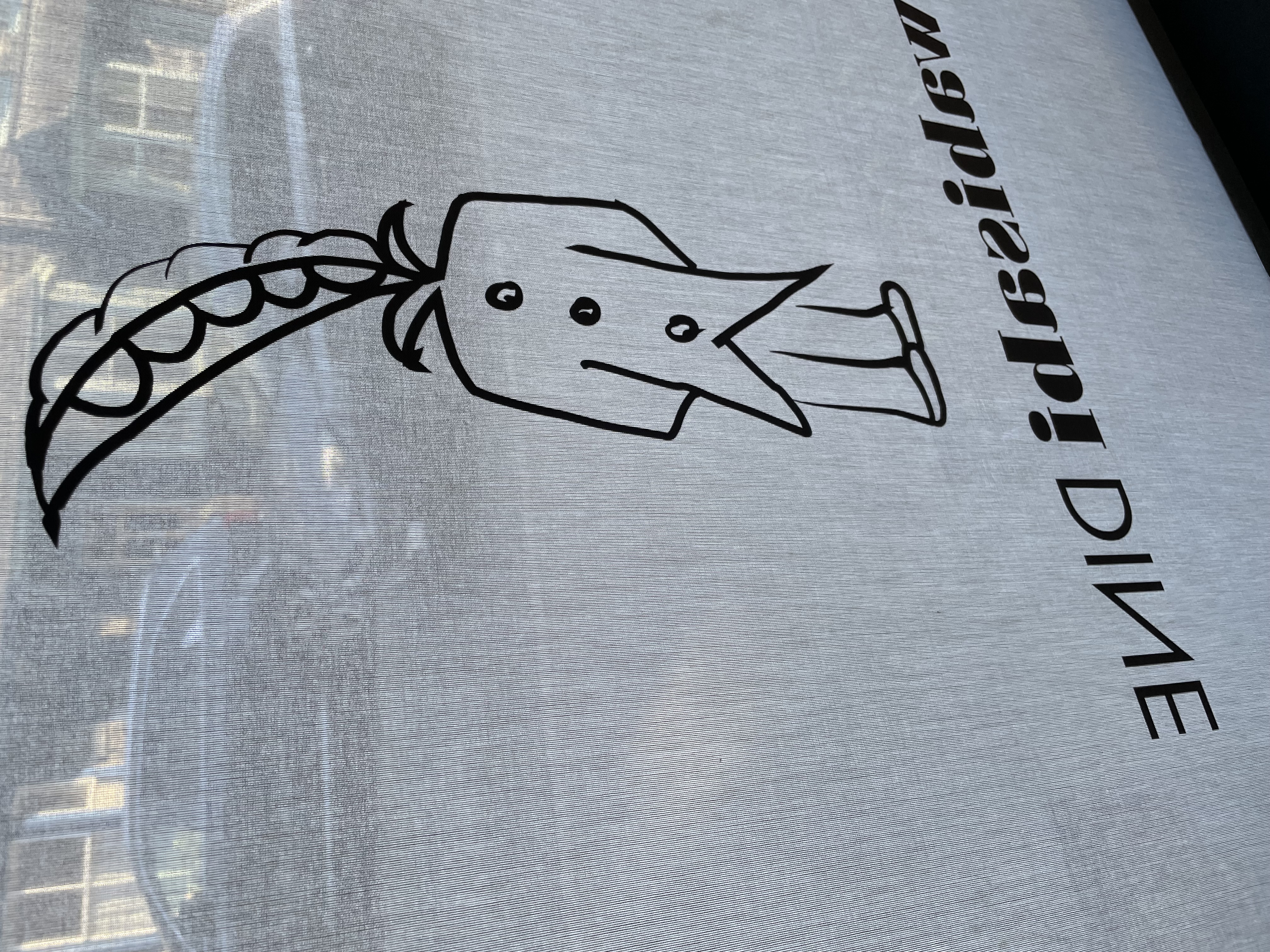 Fabric on window